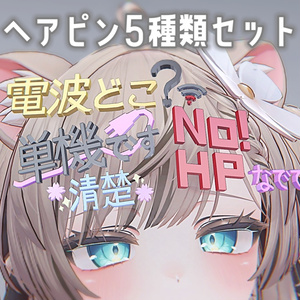 ヘアピン5種セット
