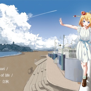 Ameakari music of life vol.1