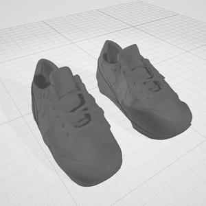 3d  靴