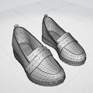 3d  靴