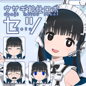 VRM想定オリジナル3Dモデル　セツ