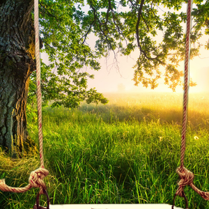 Swingset Stream Scene