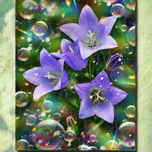 a-2415 心照らす春の日の庭 Serene Blessings キャンバスアート - F6