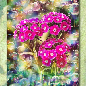 a-2432 虹光の庭 Tender Hues of Hope キャンバスアート - F6