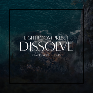 Dissolve Elements｜Lightroom プリセット 4種