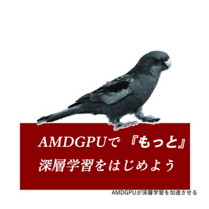 AMDGPUで『もっと』深層学習をはじめよう(電子版)