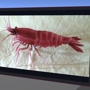 VRChat ワールドギミック EbiTab 缩略图 5