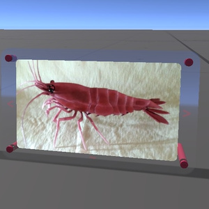 VRChat ワールドギミック EbiPhotoFrame 缩略图 2