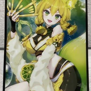 No－P.U.N.K.セアミン カードスリーブ - オオカミのあしあと - BOOTH