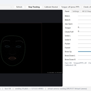 【VRCPCFT 拡張版】VRChat専用フェイストラッキングソフト  PC勢でもVRゴーグル並みの豊かな表情を
