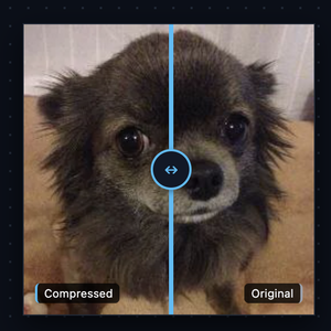 Image Compressor