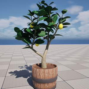樽をリメイクしたプランターに植えられたレモンの木