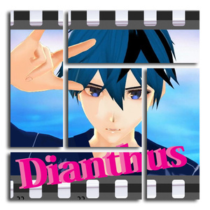 Dianthus