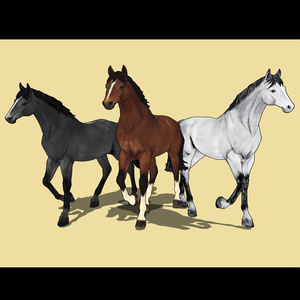 3D 可動駿馬