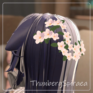 ThunbergSpiraea 缩略图 2