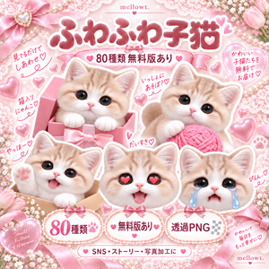 【無料版あり】ふわふわ子猫のPNG素材80種｜表情差分・ポーズ・SNS・ストーリー・写真加工・推し活
