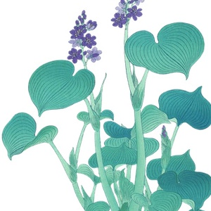 PNG画像：紫の草花アンティークイラスト素材