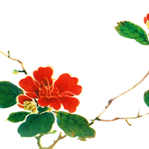 PNG画像｜椿の花アンティークイラスト素材