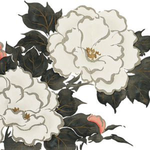 PNG画像｜牡丹の花　日本画アンティークイラスト素材