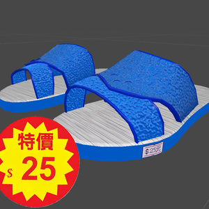 藍白拖 TwSlippers
