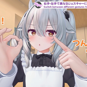 ハンドジェスチャー(24種)✋追加＆切替ギミック『ハンドジェスチャーEX』 缩略图 4