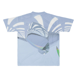 kagxing01.flp T-Shirt