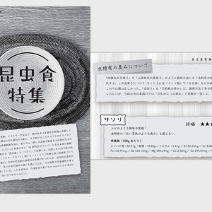 田中雄二著『《電子音楽 in JAPANリブート》 シンセ・プログラマー社会