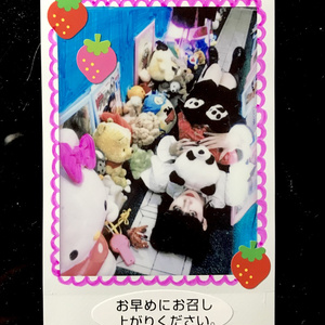 うさぎさんᕱ⑅ᕱチェキセット しろうさぎ🍼❄️ on X: 