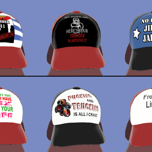 Funny Hat 面白い帽子