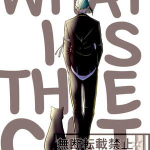 フロ監♀『WHAT IS THE CAT』