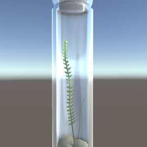 Mini terrarium (△712)