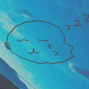 あざらしの赤ちゃんとかなり大きいハチ