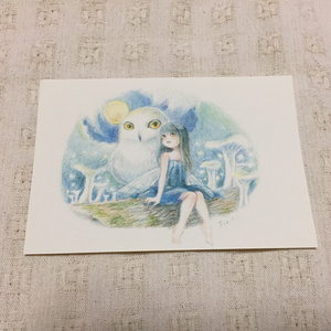 ポストカード『フクロウと妖精【夜】』