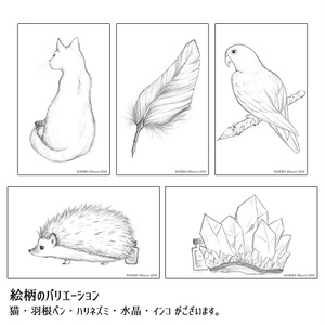 【オプション】発送方法変更　ネコポス ⇒ 宅急便コンパクト