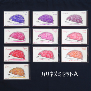 塗り絵カード着色セット　Aichi他