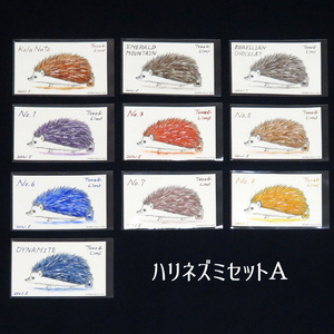 塗り絵カード着色セット　Kola Nuts他