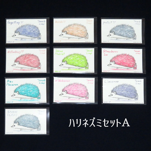 塗り絵カード着色セット　forgetting U他