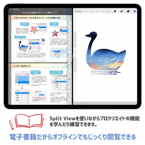Procreate（プロクリエイト）日本語マニュアル 使い方解説本（バージョン5.0対応版）