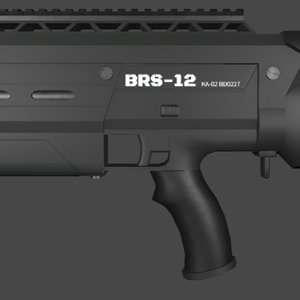 BRS-12
