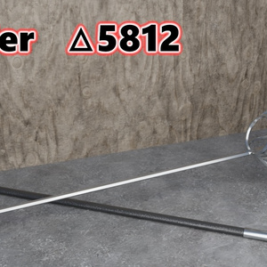 Rapier