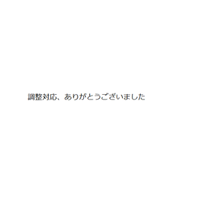 【金額調整用】送料調整用【購入注意】