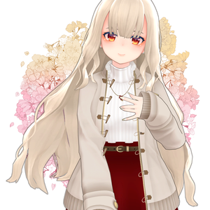【ｽｷﾆﾝｸﾞ済み衣装】クリスマスコーデ