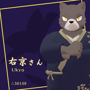 【VRChat想定3Dモデル】右京さん-Ukyo-