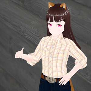 Western shirts Pink/ウエスタンシャツ
