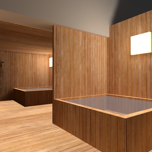 Wood Bathroom