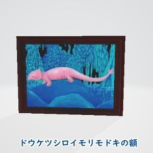 【ドウケツシロイモリモドキの額】