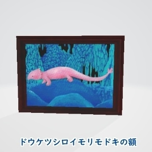 【ドウケツシロイモリモドキの額】