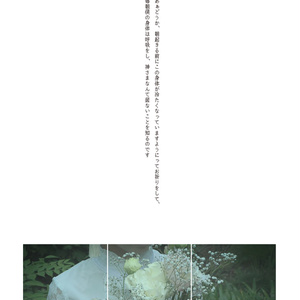 夢中夢の片、微かなるエレジー