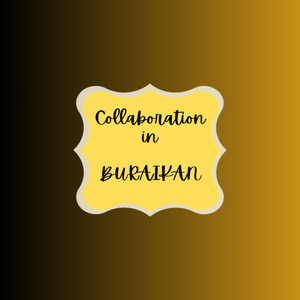 Collaboration in BURAI...