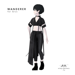 WANDERER for Grus